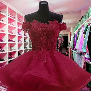 Custom off the shoulder applique sleeveless tulle ball gown homecoming dresses